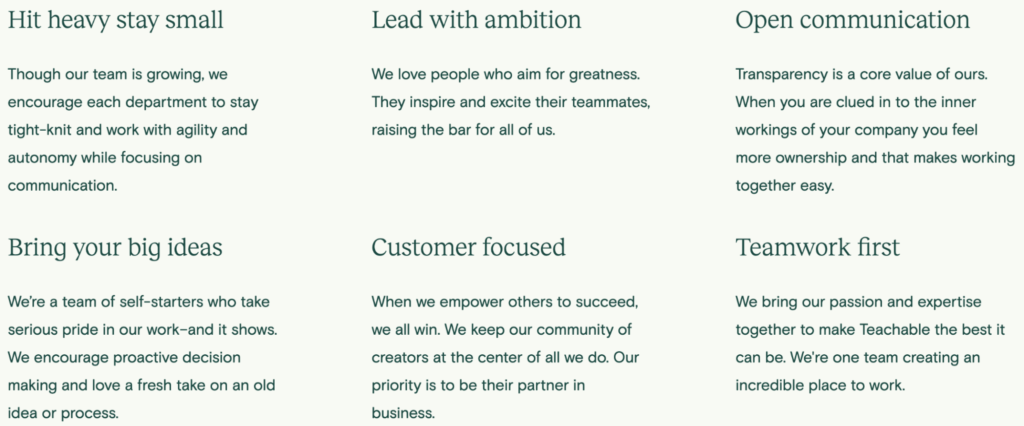 An image displaying six text boxes with motivational workplace principles, emphasizing adaptability, ambition, transparency, innovation, customer centricity, and teamwork, created using Biteable video maker.