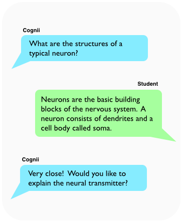 An educational chat interface showing a conversation about the structures of neurons and their functions in the nervous system.