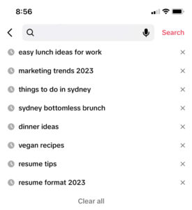 Smartphone screen displaying a search history list with queries about lunch ideas, things to do, brunch, dinner ideas, vegan recipes, social media SEO, and resume formats.