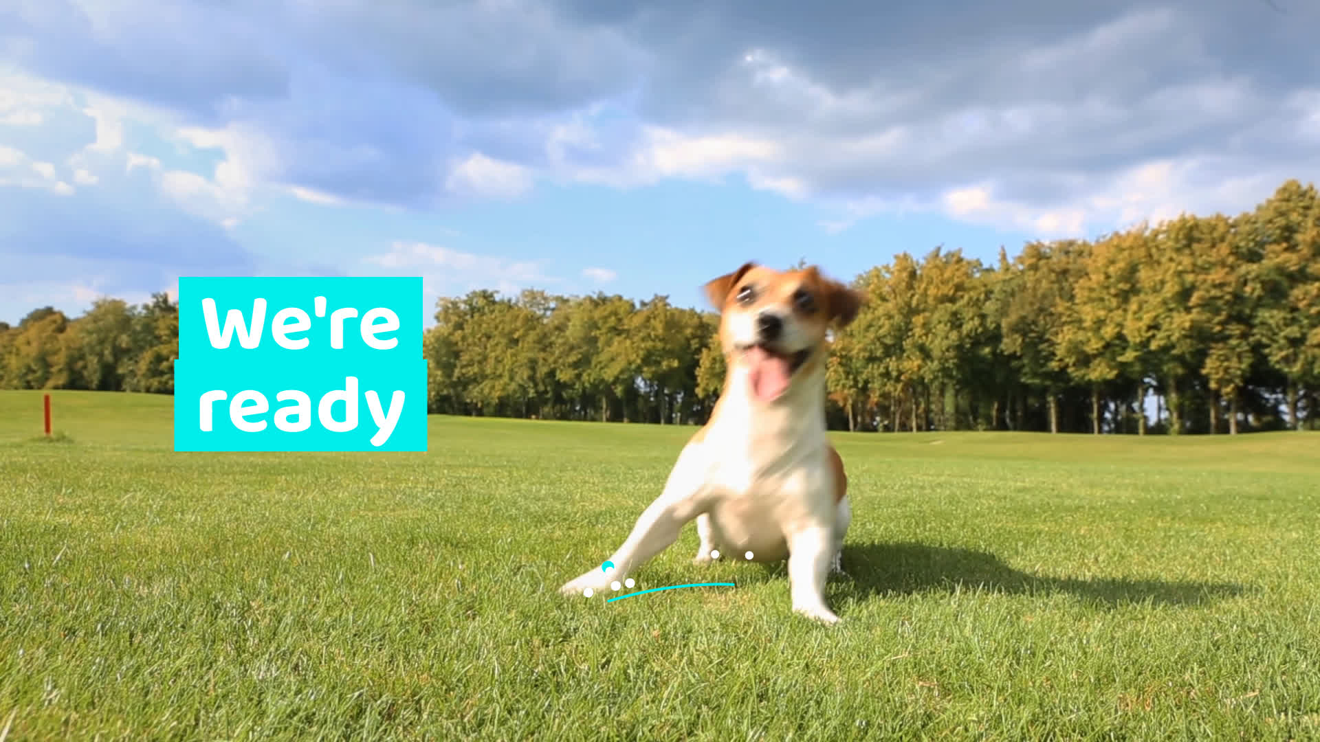 ready_dog_thumb