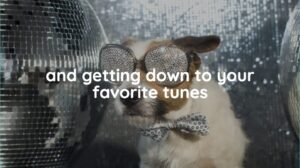 Dog wearing sparkly sunglasses and a polka dot bow tie sits in front of a disco ball with the text, “and getting down to your favorite tunes.”.